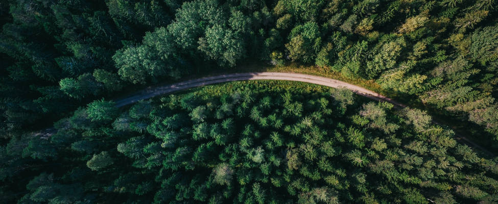 BM Certification – vienmēr soli priekšā