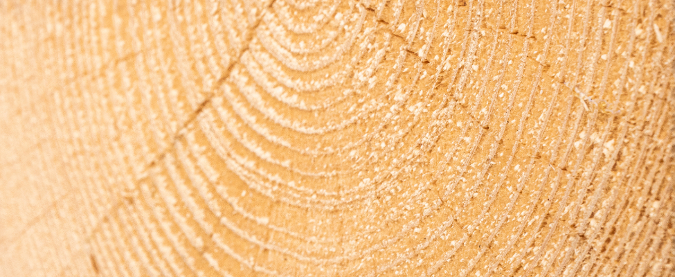 UKTR Lielbritānijas kokmateriālu regula