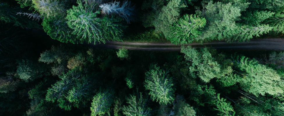 FSC<sup>®</sup> Ekosistēmu pakalpojumu audits