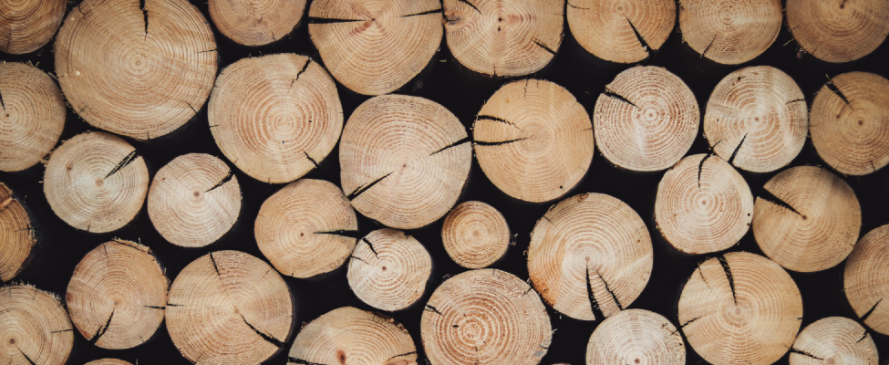 PEFC FM Publisks Paziņojums AS “Latvijas valsts meži” Ziemeļlatgales reģions