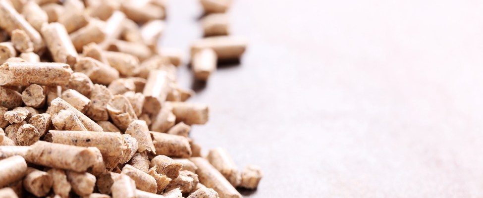 SBP Ilgtspējīgas biomasas programma