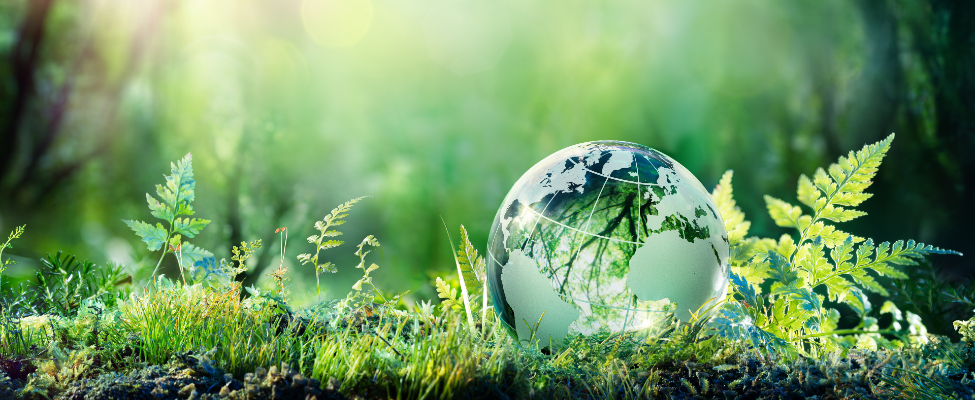 CDP ūdens un oglekļa verifikācija — oglekļa emisiju verifikācija