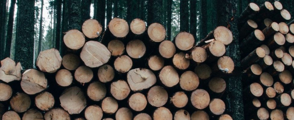 Rīkojums par kokmateriālu tirdzniecību Šveicē — Holzhandelsverordnung (HHV)