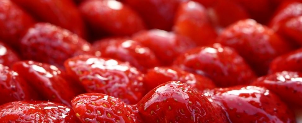 ISO 22000 vai FSSC 22000, kura ir vispiemērotākā Jūsu uzņēmumam?