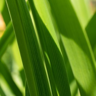 BM Certification piedāvā saviem klientiem jaunu pakalpojumu – Produkta dzīves cikla novērtējumu LCA/EPD