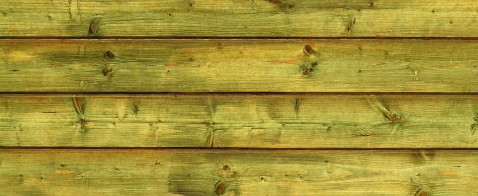 Iestājoties pret klimata pārmaiņām – izmantojiet koksni