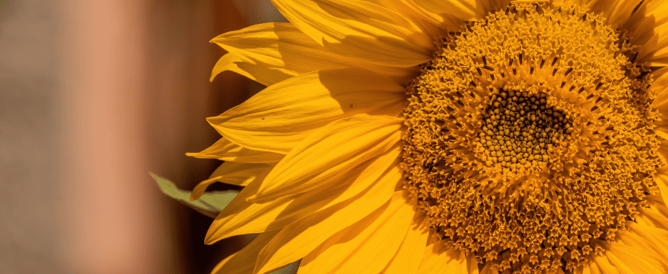 Iestājoties par ilgtspējību