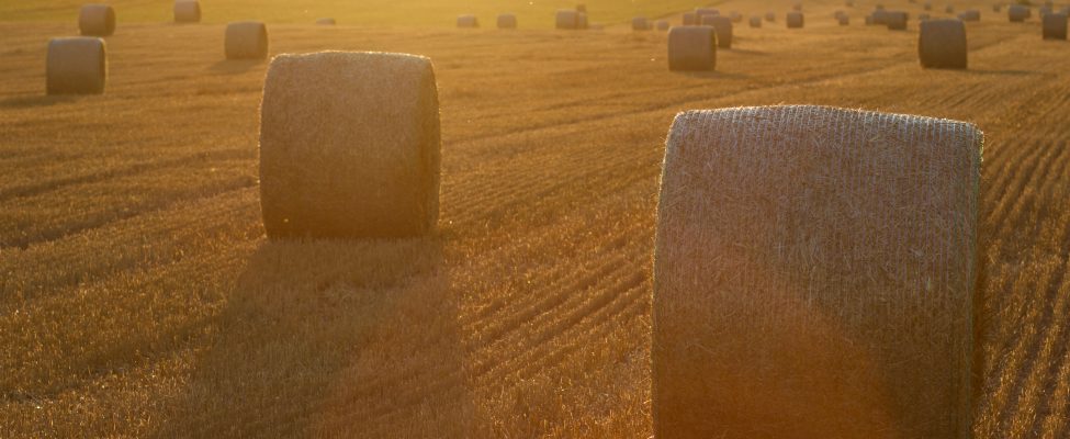 Ar prieku paziņojam, ka esam apstiprināti kā SURE-EU sistēmas sertifikācijas institūcija