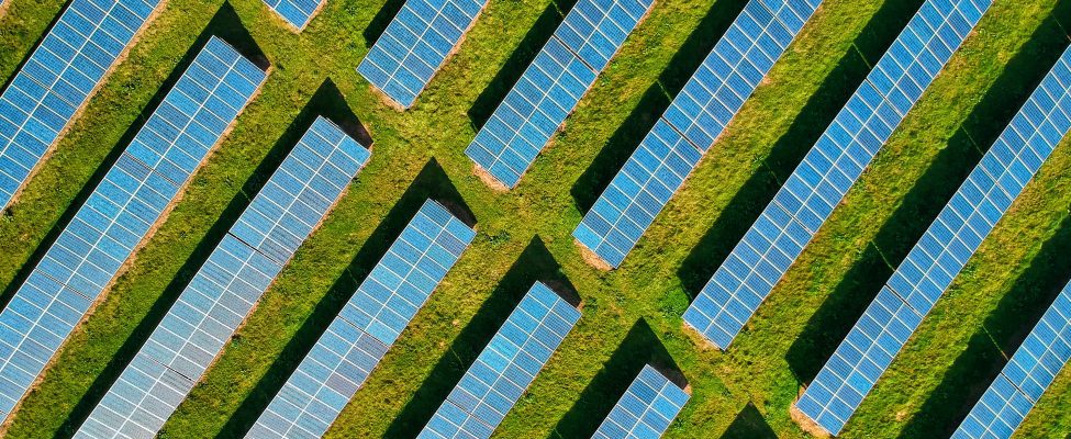 Zemkopības ministrija publicē indikatīvu izvērtējumu par meža biomasas atbilstību ilgtspējas kritērijiem