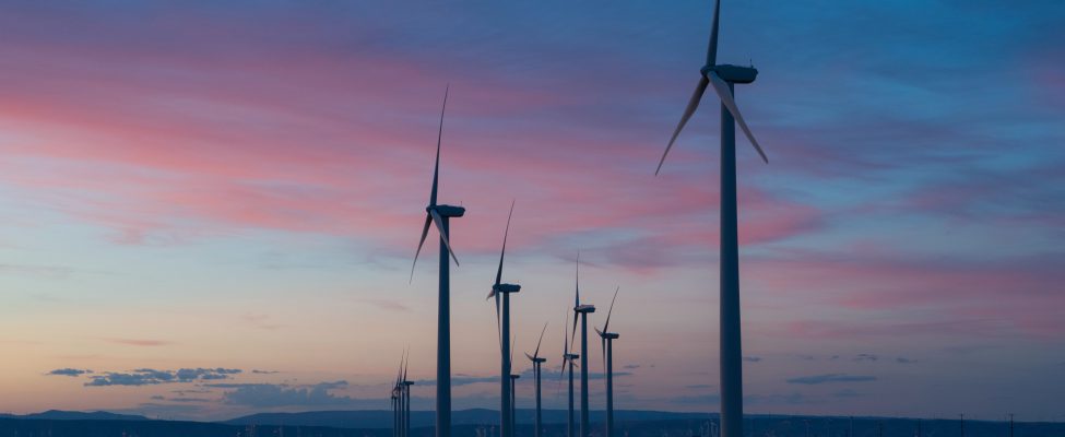 CDP ūdens un oglekļa verifikācija — oglekļa emisiju verifikācija