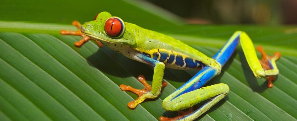 Ilgtspējīgi risinājumi: kā ISO 14001 palīdz cīnīties ar plastmasas piesārņojumu