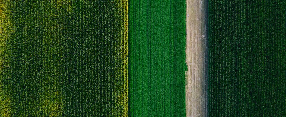 ES Taksonomija (EU Taxonomy), SFDR un Eiropas zaļo obligāciju (European Green Bond) verifikācija