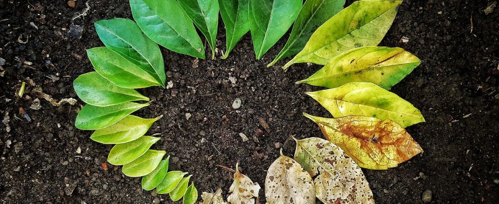 Dzīves cikla novērtējuma (LCA) būtiskākie ieguvumi mūsdienu uzņēmējdarbības apstākļos