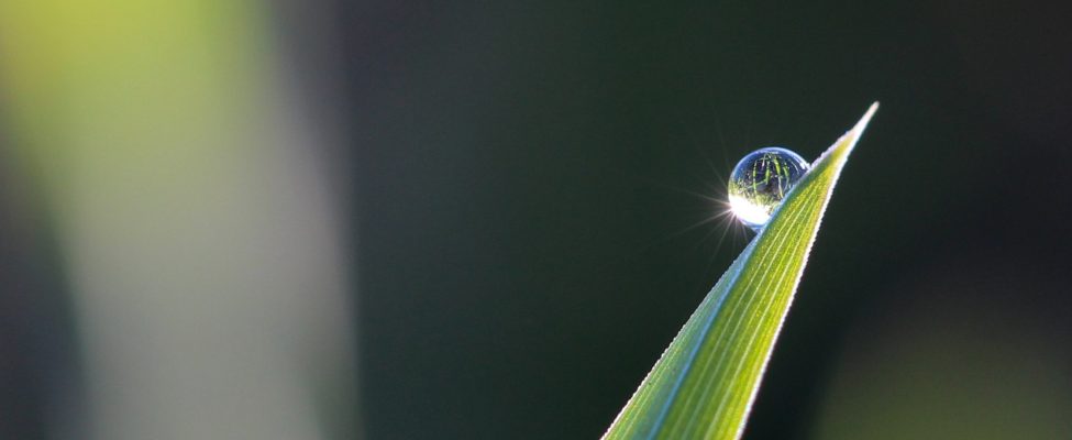 Starptautisko standartu priekšrocības