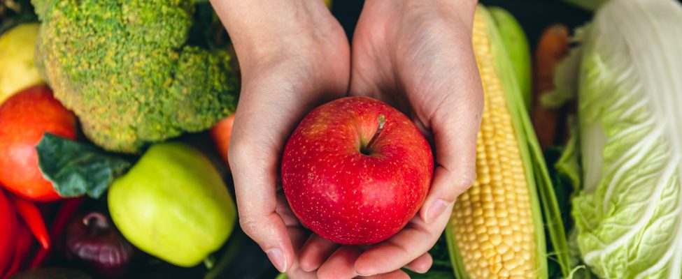 HACCP un GMP: Pīlāri pārtikas nekaitīguma un kvalitātes nodrošināšanai