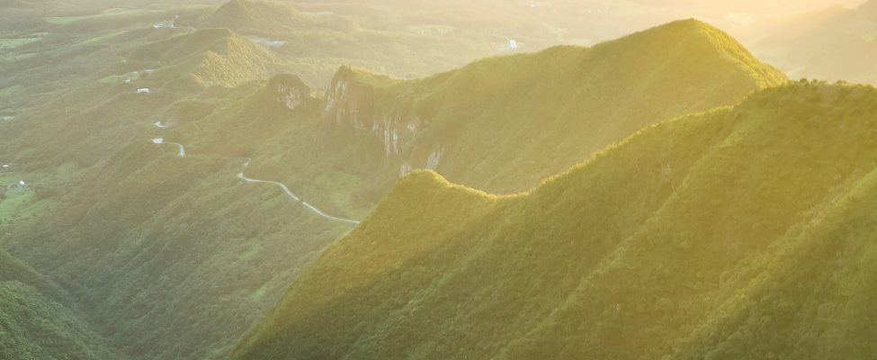 Zemkopības ministrija publicē indikatīvu izvērtējumu par meža biomasas atbilstību ilgtspējas kritērijiem