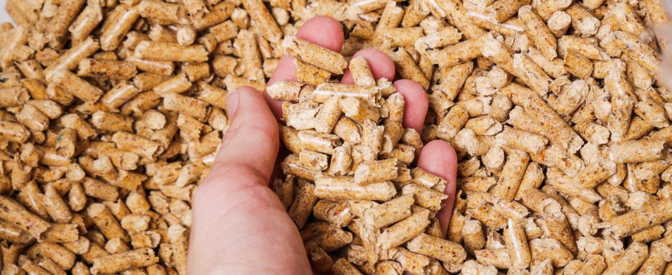 ENplus® koksnes granulu sertifikācija