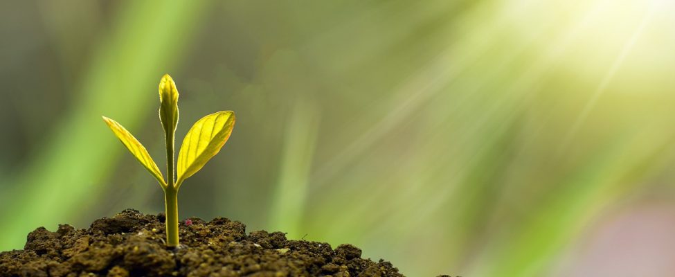 BM Certification oficiāli atzīts par ESMA ārējo vērtētāju saskaņā ar ES Zaļo obligāciju regulu