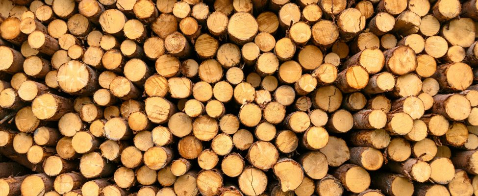 BM Certification saņem akreditāciju FSC® piegādes ķēdes sertifikācijai